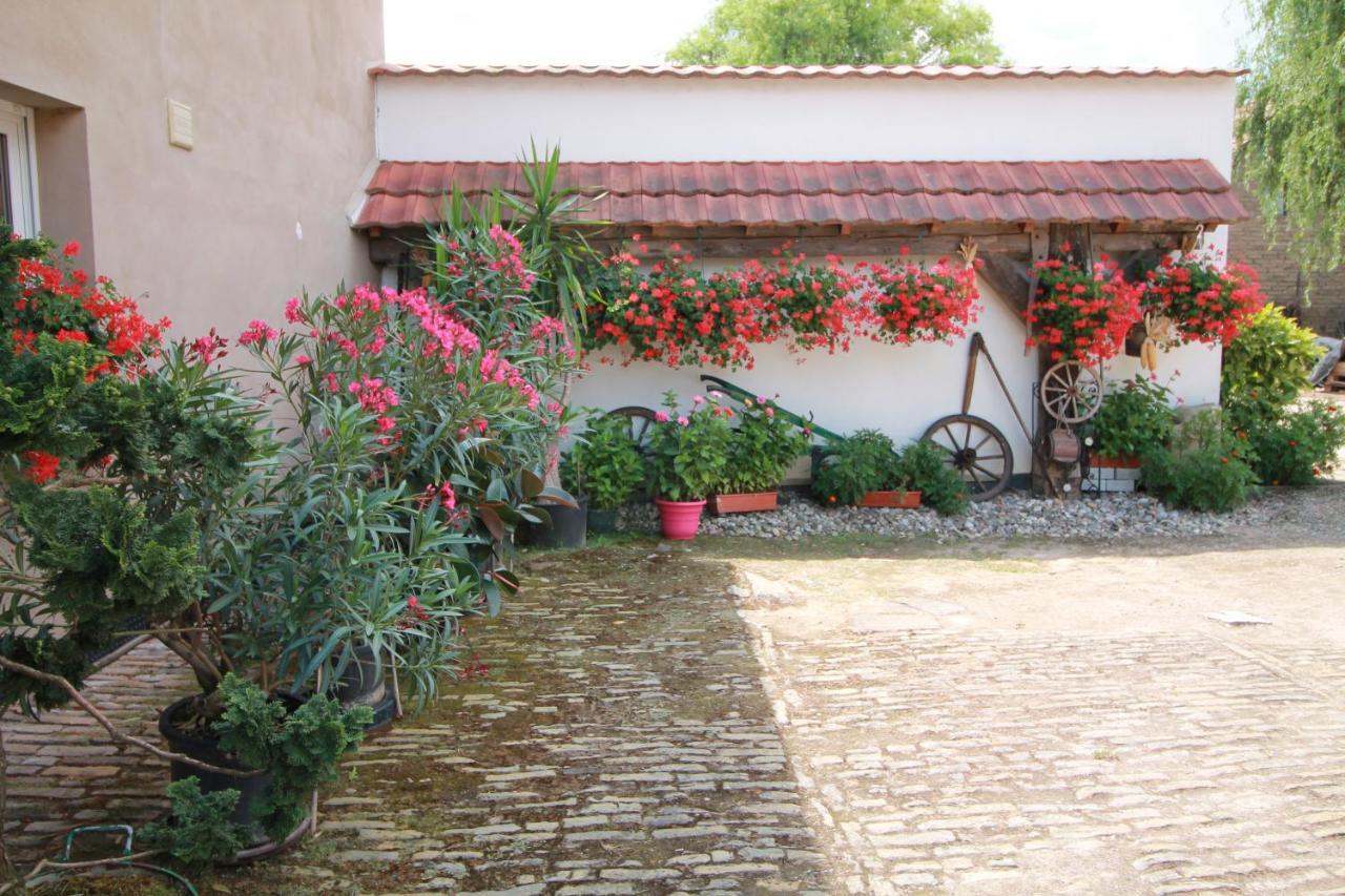 La Chambre Aux Hirondelles Ittenheim Ngoại thất bức ảnh